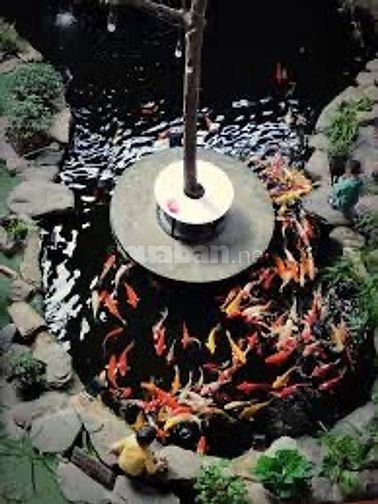 VIỆC LÀM THÊM CHO SINH VIÊN - LĐPT
