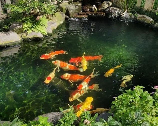 VIỆC LÀM THÊM CHO SINH VIÊN - LĐPT
