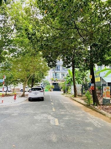 Bán đất đường 56 Thạnh Mỹ Lợi Quận 2 giá 34,5 tỷ