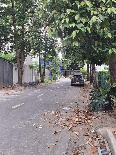 Bán đất đường 56 Thạnh Mỹ Lợi Quận 2 giá 34,5 tỷ