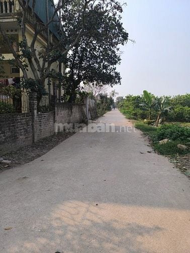 CC BÁN ĐẤT ĐÔNG NINH VIEW DỰ ÁN TRUMP 120M2 MT 5M GIÁ 26TR/M2