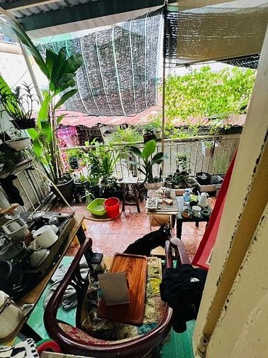 Nhà Chính chủ sát mặt tiền Nguyên Hồng P11 Bình Thạnh