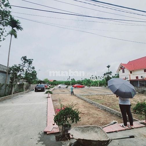 HOT: DỰ ÁN HOA GIẤY AN LÃO, HẢI PHÒNG ĐÁNG MUA NHẤT NĂM 2025 CƠ HỘI VÀ