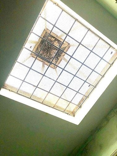 CHÍNH CHỦ BÁN NHÀ NGHĨA DŨNG DÂNXÂY NGÕTHÔNG,OTO 30M, |DT40M2x3T_5,6TỶ