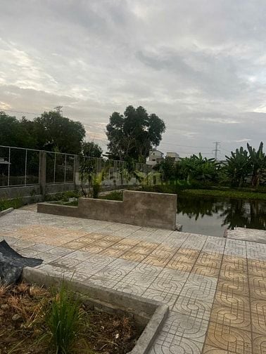 Bán nhà vườn hẻm xe hơi, Lê Văn Lương, Nhà Bè. 1184m2 giá 10,65 tỷ