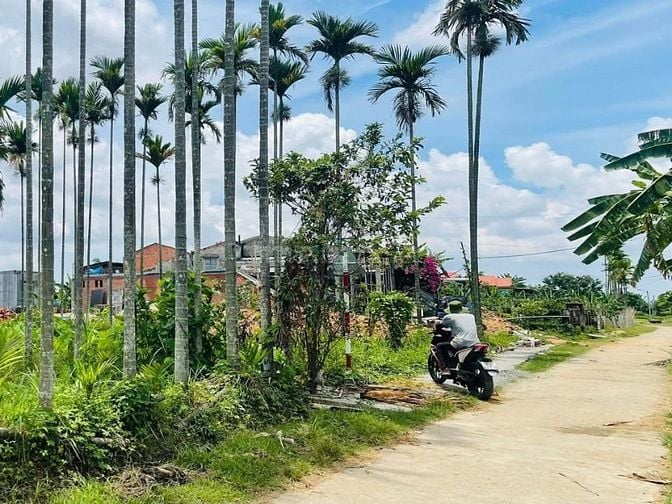 🎯 BẮT CƠ HỘI VÀNG – SỞ HỮU NGAY LÔ ĐẤT ĐẸP TẠI ĐIỆN HỒNG!