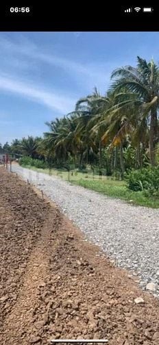 Bán lô đất  Ấp Thạnh Hòa Tây, Thạnh Trị, Gò Công Tây, Tiền Giang 6x27m