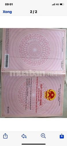 Đất thổ cư xã Phước Lại, Cần Giuộc. hẻm xe máy  960m2 giá 3,7 tỷ