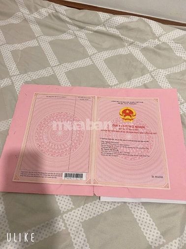 Bán biệt thư mini đường Hồ Học Lãm, Phường An Lạc, Quận Bình Tân