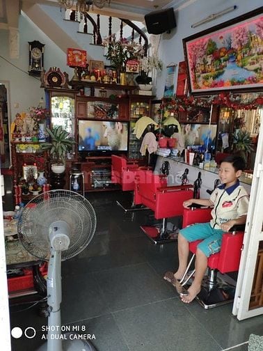 Bán biệt thư mini đường Hồ Học Lãm, Phường An Lạc, Quận Bình Tân