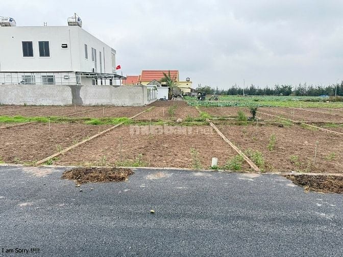 Đất nền Quất Lâm - Mã lô DT16B: Cơ hội đầu tư tiềm năng gần khu thể th