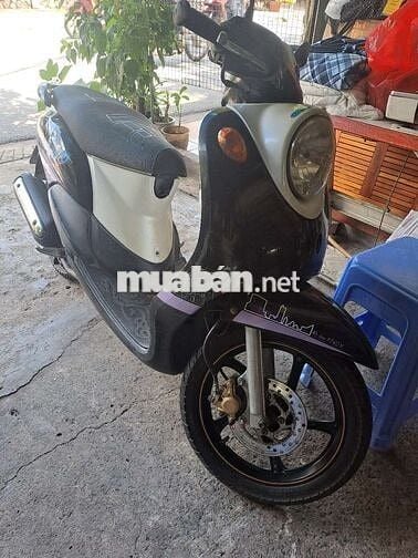 Mio classico máy êm giá rẻ