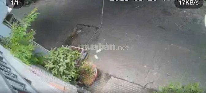 Bán nhà ở kèm phòng trọ đúc giã nhà ngay chợ giá 6,9 tỷ chính chủ 