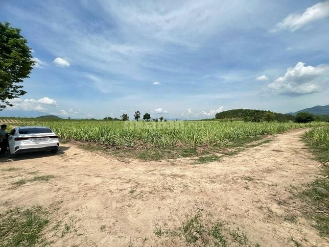 2.516m đất Nông nghiệp giá 250tr giáp suối tại Ninh Thượng - Ninh Hoà