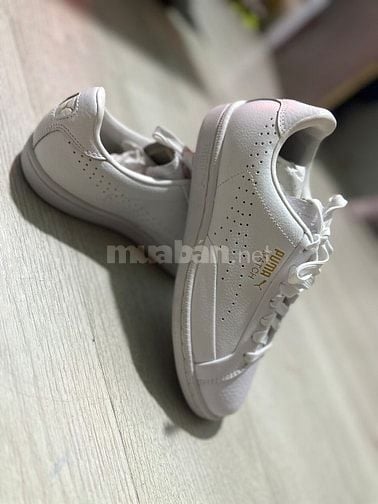 Thanh Lý Giày PUMA Mới 100% Chưa Sử Dụng 