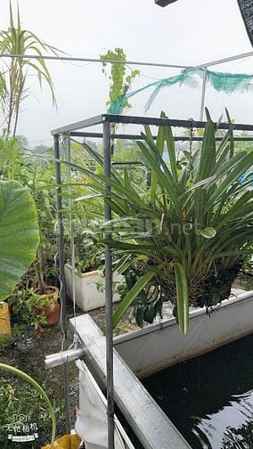Hẻm Chùa Viên Minh rẽ vào 70m tới nhà. Xẻm xe hơi.Bình hưng.2tỷ990