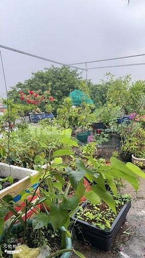 Hẻm Chùa Viên Minh rẽ vào 70m tới nhà. Xẻm xe hơi.Bình hưng.2tỷ990