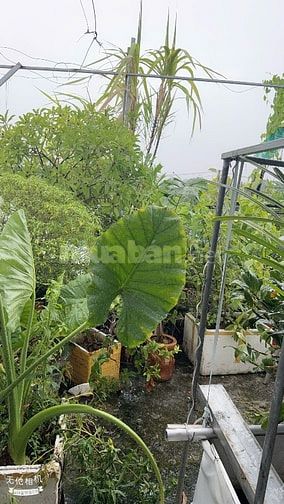 Hẻm Chùa Viên Minh rẽ vào 70m tới nhà. Xẻm xe hơi.Bình hưng.2tỷ990