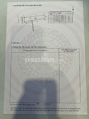 đất ở MT đường 826C, Phước Lại. Cần Giuộc. 5,6m x 30,3m. giá 4,45 tỷ