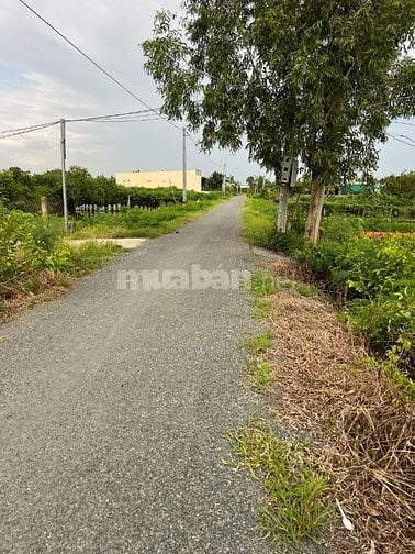 ĐẤT VƯỜN ĐƯỜNG MƯƠNG CHÀI, xã  PHƯỚC LẠI, 10x65m, 640M2 giá 2,15 TỶ