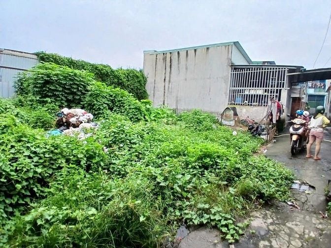 Bán đất hẻm 379 Bùi Thị Xuân (hẻm 2m , thổ cư 100% )