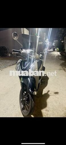 Bán SH mod 9 chủ
