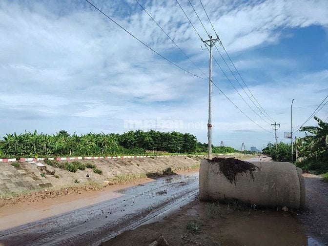 Bán đất nông nghiệp Hải Bối Đông Anh, HN