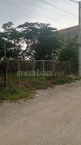 Bán đất nông nghiệp Hải Bối Đông Anh, HN