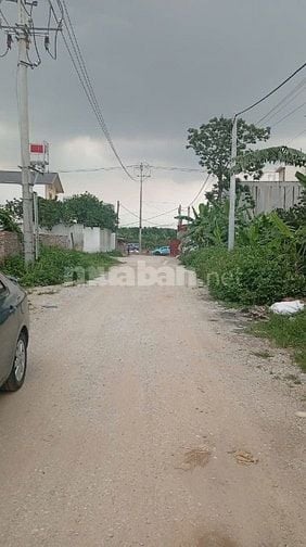 Bán đất nông nghiệp Hải Bối Đông Anh, HN