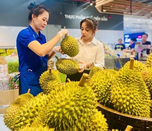 Tuyển nhân viên tạp vụ , lao động phổ thông , bảo vệ , bán hàng 