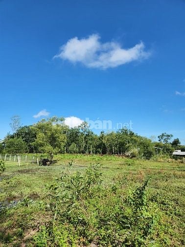 CHÍNH CHỦ BÁN ĐẤT GÀN THỊ TRẤN ĐỨC TÀI ĐỨC LINH BÌNH THUẬN
