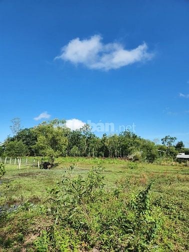 CHÍNH CHỦ BÁN ĐẤT GÀN THỊ TRẤN ĐỨC TÀI ĐỨC LINH BÌNH THUẬN