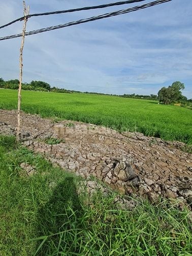 Bán đất gia đình , 1 xẹc đường ĐỖ VĂN DẬY gần cầu Xáng Hóc Môn