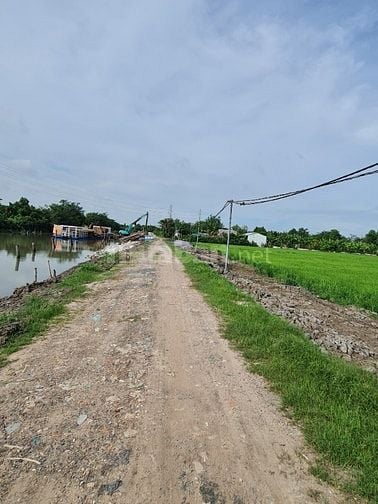 Bán đất gia đình , 1 xẹc đường ĐỖ VĂN DẬY gần cầu Xáng Hóc Môn