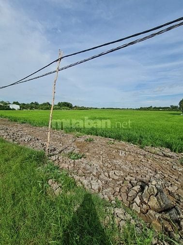 Bán đất gia đình , 1 xẹc đường ĐỖ VĂN DẬY gần cầu Xáng Hóc Môn