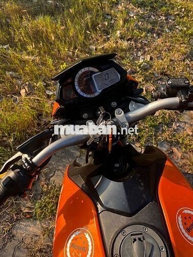 Bán xe Benelli tnt 175 2019