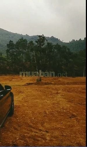 BÁN LÔ ĐẤT VÀNG 8000M² - ĐƯỜNG BÃI DÀI, TIẾN XUÂN, THẠCH THẤT