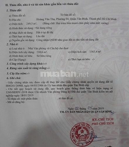Bán gấp tòa căn hộ dịch vụ Hoàng Văn Thụ, Tân Bình, 250m² đất, 8 tầng