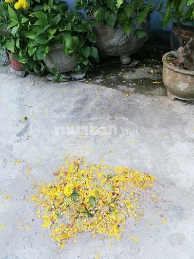 Nhà Bán Tp Nha Trang, gần Biền bờ kè Hà Ra, giá 2.45t