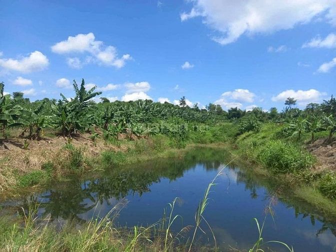 bán đất vườn có 400m2 thổ cứ , ở eakar daklak 