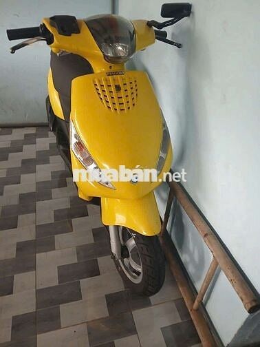 Bán hết 12 chiếc xe