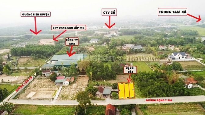 Bán đất Triệu Sơn - Thanh Hóa 160m2 full thổ cư sát công ty, gần khu c