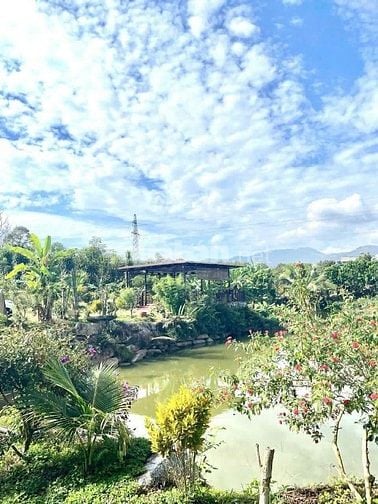 Chính chủ bán 310m2 (10x31) đất Bảo Lộc giá chỉ 500tr sổ hồng sẵn