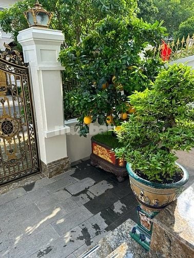 Biệt thự Cityland Garden Hills,hoàn thiện đẳng cấp, sang trọng