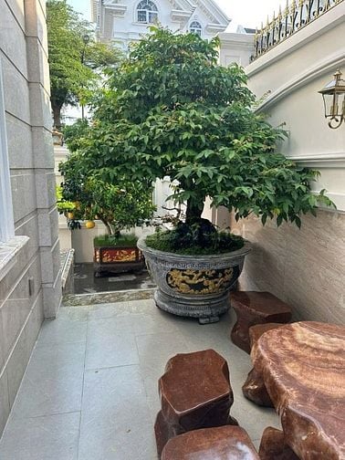 Biệt thự Cityland Garden Hills,hoàn thiện đẳng cấp, sang trọng