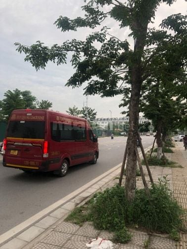 Cho thuê đất kinh doanh lâu dài