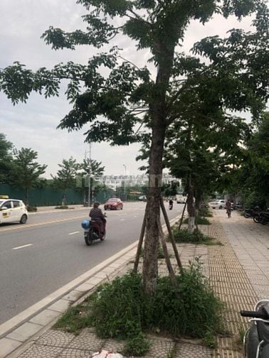 Cho thuê đất kinh doanh lâu dài