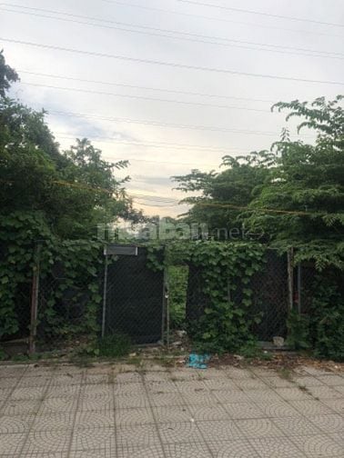 Cho thuê đất kinh doanh lâu dài