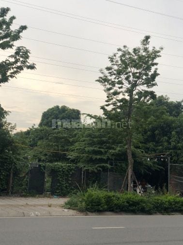 Cho thuê đất kinh doanh lâu dài