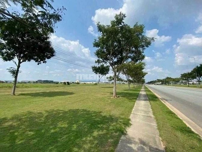 Đang kẹt tiền ngân hàng , bán gấp 2 Lô đất trong KCN Long Hậu, Long An